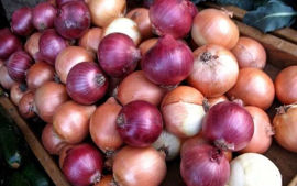۶۰۰ تن پیاز امشب به تهران می رسد
